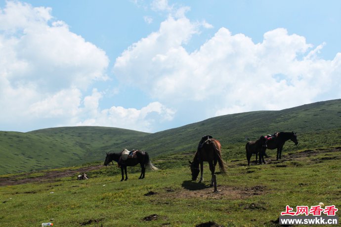 青山绿水察隅县位于什么地方