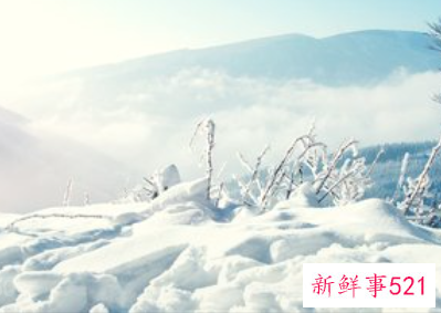 写大雪的唯美的句子